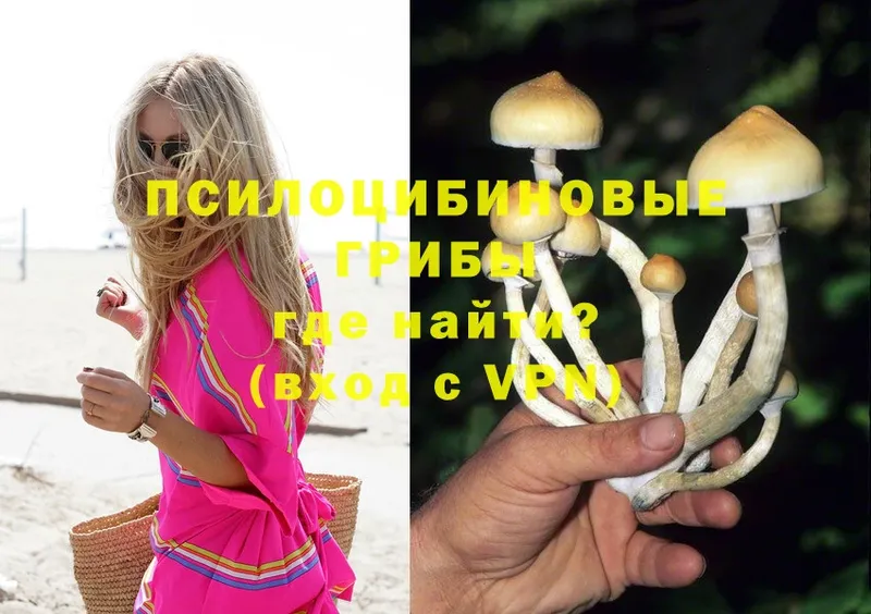 Псилоцибиновые грибы MAGIC MUSHROOMS  Щёкино 